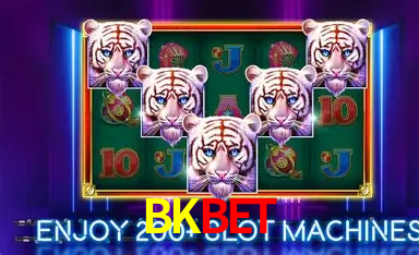 BKBET,BKBET.COM